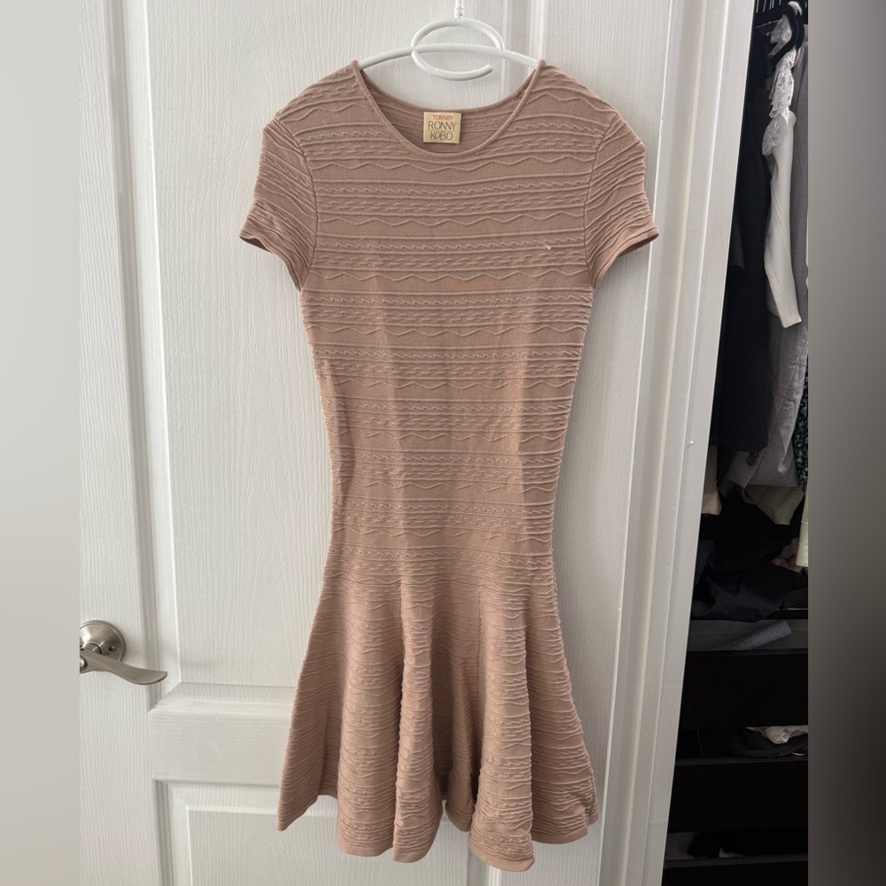 Ronny Kobo Blush Textured Fit-and-Flare Dress